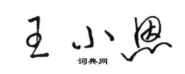 駱恆光王小恩草書個性簽名怎么寫