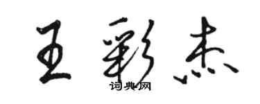 駱恆光王彩傑行書個性簽名怎么寫