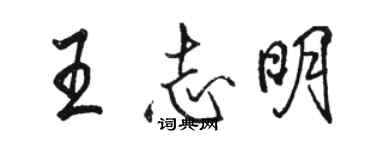 駱恆光王志明行書個性簽名怎么寫