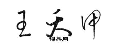 駱恆光王夭甲草書個性簽名怎么寫