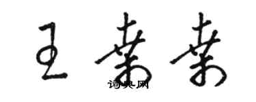 駱恆光王桑桑草書個性簽名怎么寫