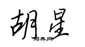 王正良胡星行書個性簽名怎么寫