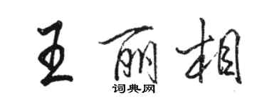 駱恆光王麗相行書個性簽名怎么寫