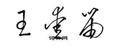 駱恆光王愛笛草書個性簽名怎么寫