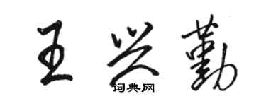 駱恆光王興勤行書個性簽名怎么寫