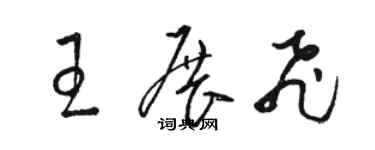 駱恆光王展飛草書個性簽名怎么寫