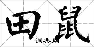 翁闓運田鼠楷書怎么寫