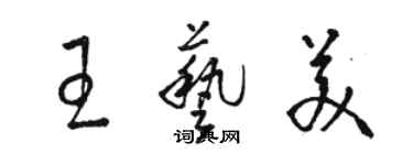 駱恆光王藝美草書個性簽名怎么寫