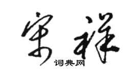 駱恆光宋祥草書個性簽名怎么寫