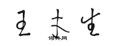 駱恆光王才生草書個性簽名怎么寫