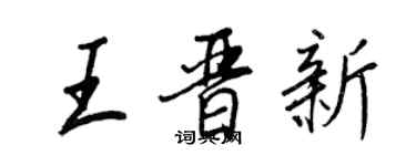 王正良王晉新行書個性簽名怎么寫
