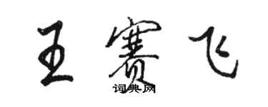 駱恆光王賽飛行書個性簽名怎么寫