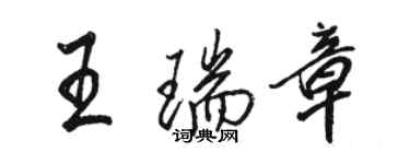 駱恆光王瑞章行書個性簽名怎么寫