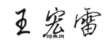 駱恆光王宏雷行書個性簽名怎么寫