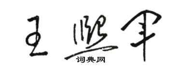 駱恆光王熙軍草書個性簽名怎么寫