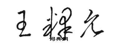 駱恆光王釋允草書個性簽名怎么寫