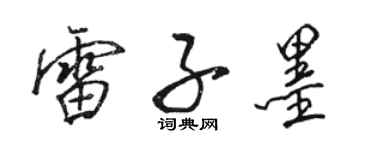 駱恆光雷子墨行書個性簽名怎么寫