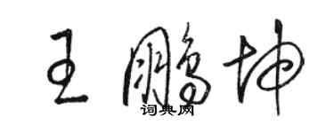 駱恆光王鵬坤草書個性簽名怎么寫