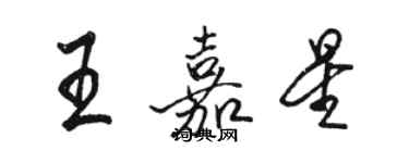 駱恆光王嘉星行書個性簽名怎么寫