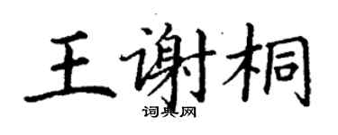 丁謙王謝桐楷書個性簽名怎么寫