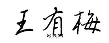 王正良王有梅行書個性簽名怎么寫