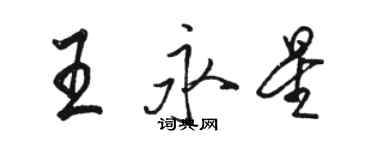 駱恆光王永星行書個性簽名怎么寫