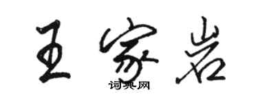 駱恆光王家岩行書個性簽名怎么寫