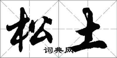 胡問遂鬆土行書怎么寫