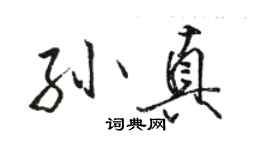 駱恆光孫真行書個性簽名怎么寫