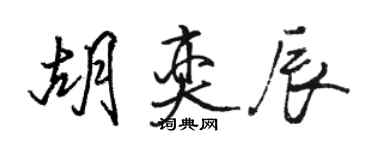 駱恆光胡奕辰行書個性簽名怎么寫