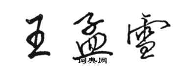 駱恆光王孟雪行書個性簽名怎么寫