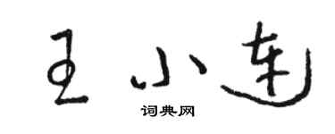 駱恆光王小連草書個性簽名怎么寫