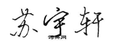 駱恆光蘇宇軒行書個性簽名怎么寫