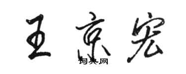 駱恆光王京宏行書個性簽名怎么寫