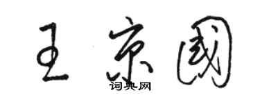 駱恆光王京國草書個性簽名怎么寫