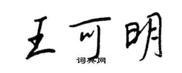 王正良王可明行書個性簽名怎么寫