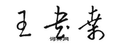 駱恆光王書桑草書個性簽名怎么寫
