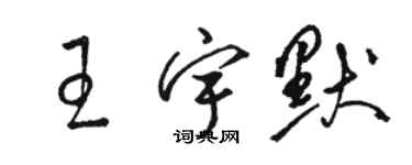 駱恆光王宇默草書個性簽名怎么寫