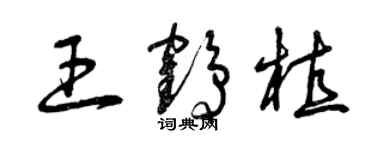 曾慶福王鶴植草書個性簽名怎么寫