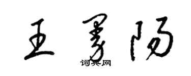 梁錦英王曼陽草書個性簽名怎么寫