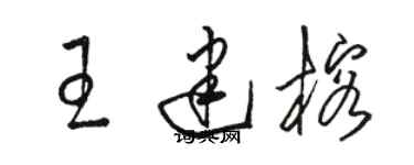 駱恆光王建榕草書個性簽名怎么寫