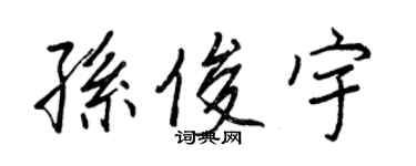 王正良孫俊宇行書個性簽名怎么寫