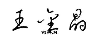 梁錦英王金晶草書個性簽名怎么寫