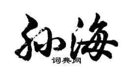 胡問遂孫海行書個性簽名怎么寫