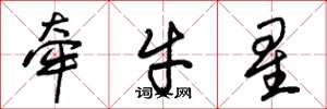 朱錫榮牽牛星草書怎么寫