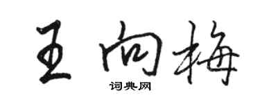 駱恆光王向梅行書個性簽名怎么寫