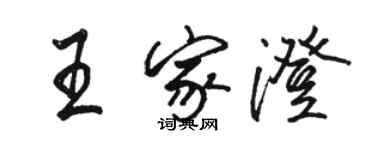 駱恆光王家澄行書個性簽名怎么寫