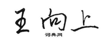 駱恆光王向上行書個性簽名怎么寫