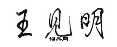 駱恆光王見明行書個性簽名怎么寫