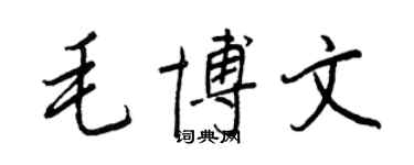 王正良毛博文行書個性簽名怎么寫